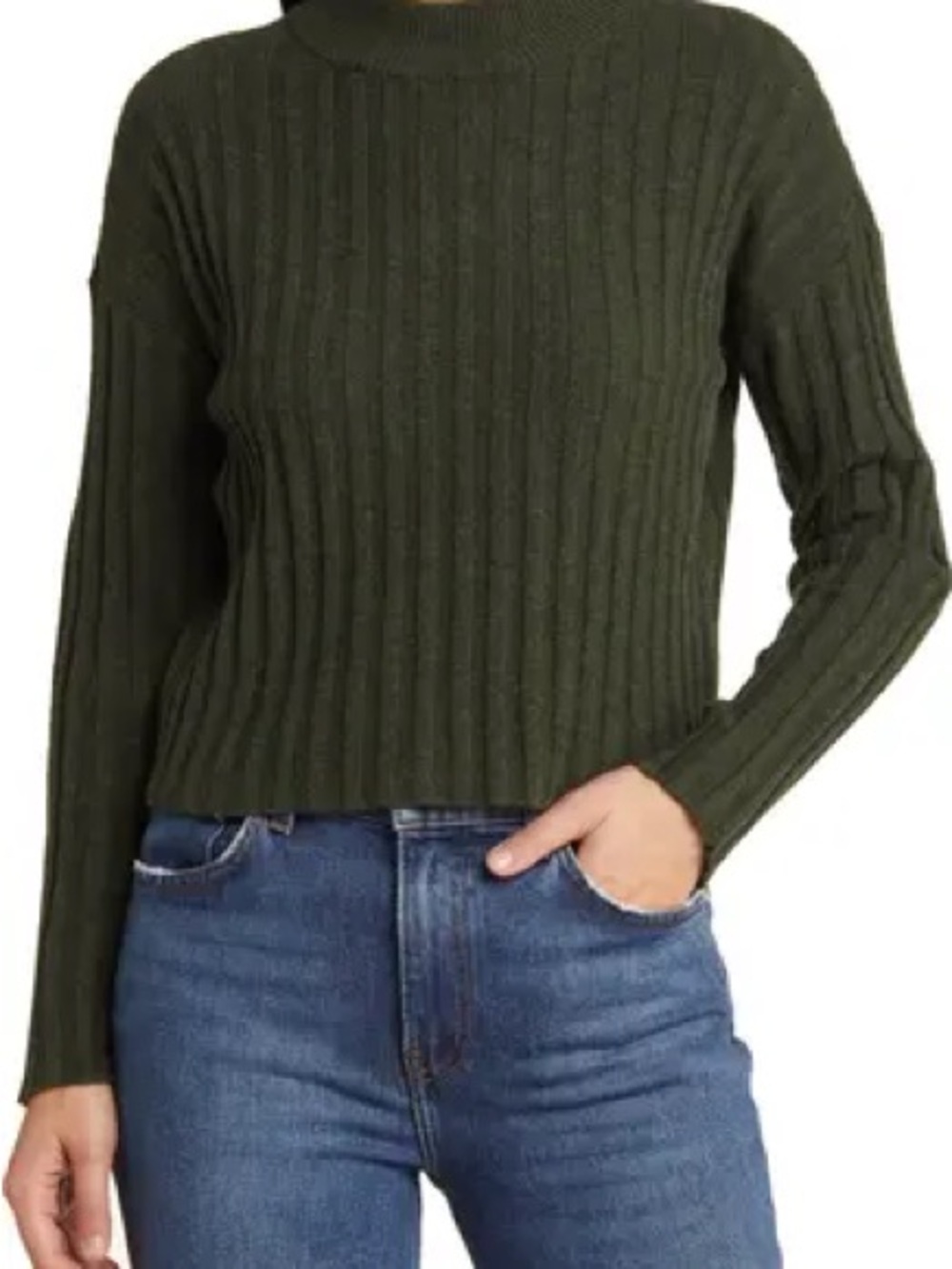 Madewell Levi Ribbed Mock Neck Cropped Sweater
